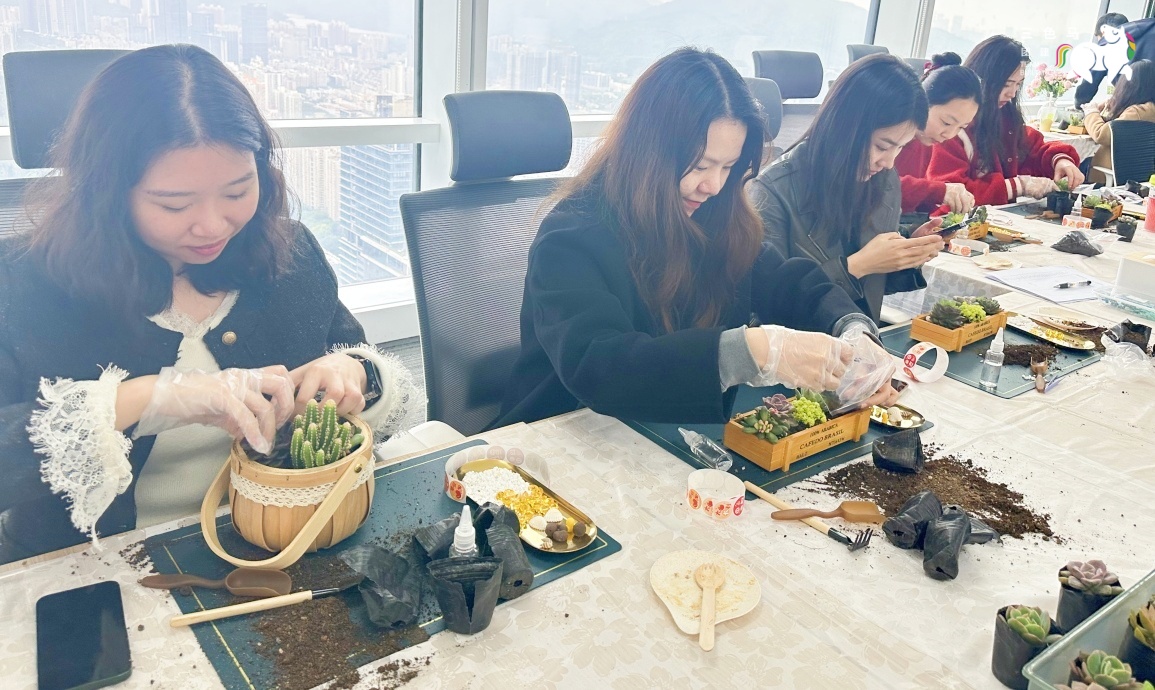 20人女神节多肉盆栽DIY