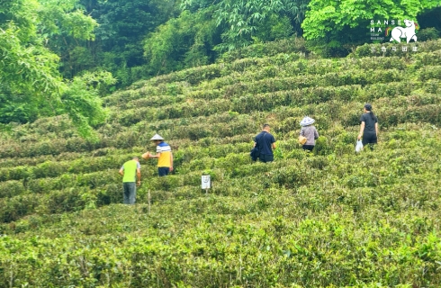 英大证券